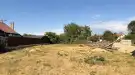 Pest megye - Dabas