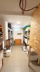 Pest megye - Dabas
