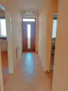 Pest megye - Dabas