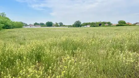 Eladó telek, Dabas 20196 m² 98.99 M Ft