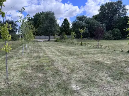 Eladó telek, Dabas 24820 m² 59.99 M Ft