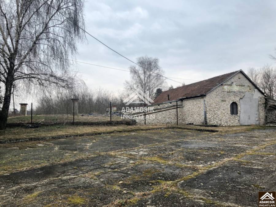 eladó üzlet, Dabas